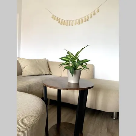Privatzimmer Im Herzen Der Detmolder Innenstadt Detmold